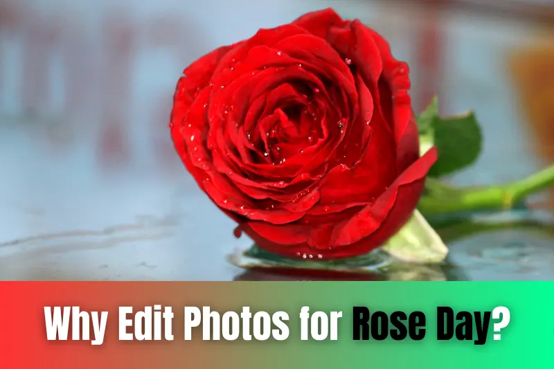 why edit photos for rose day